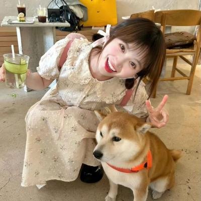 彩象岛的女孩儿