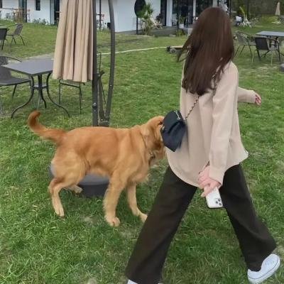 茶是故乡浓粤语