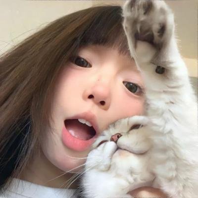 命运之夜前传第二季